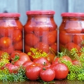 Canned Tomatoes
