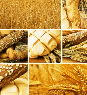 Grains